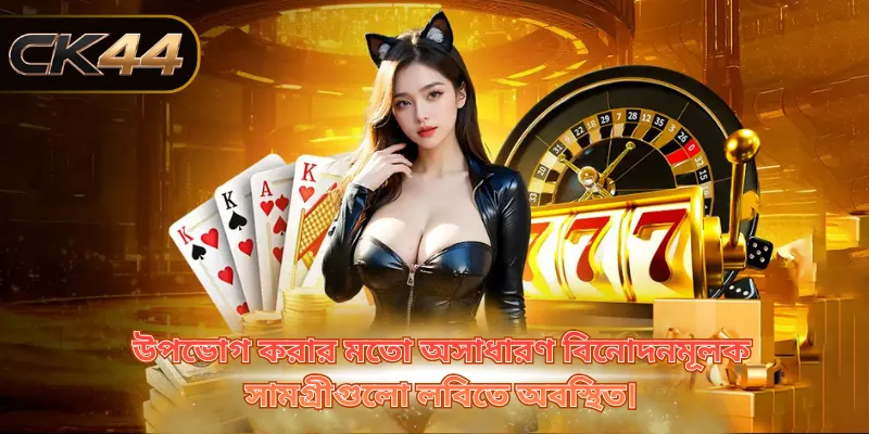 উপভোগ করার মতো অসাধারণ বিনোদনমূলক সামগ্রীগুলো লবিতে অবস্থিত।
