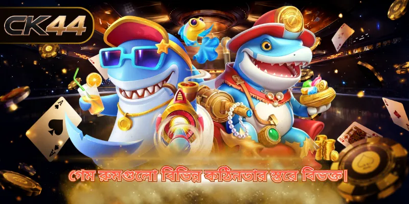 গেম রুমগুলো বিভিন্ন কঠিনতার স্তরে বিভক্ত।