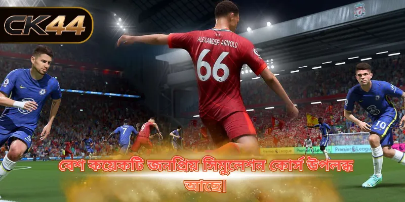 বেশ কয়েকটি জনপ্রিয় সিমুলেশন কোর্স উপলব্ধ আছে।